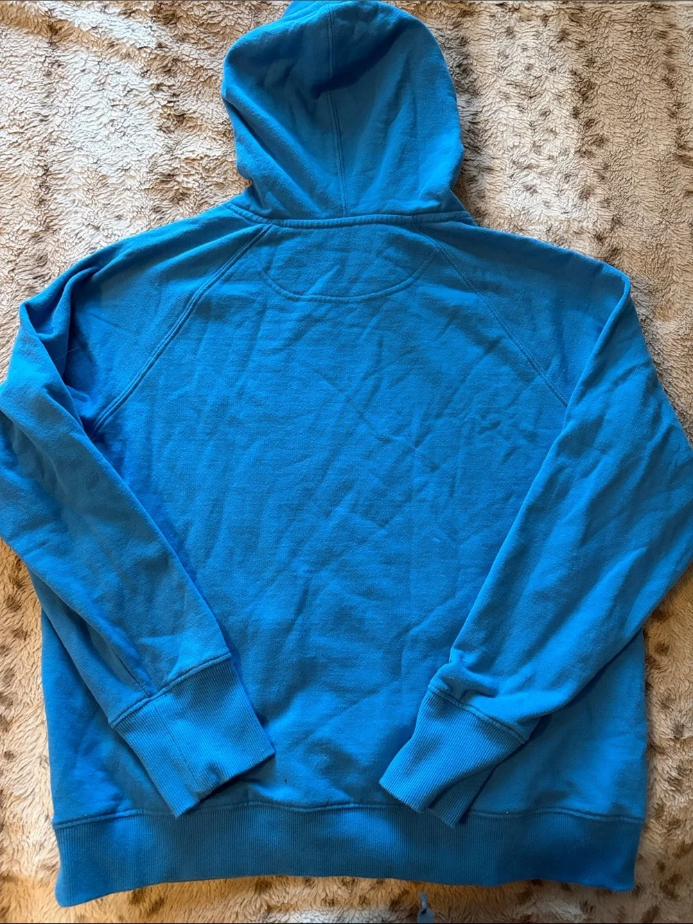 Champion Women’s Turquoise Blue Logo Hoodie